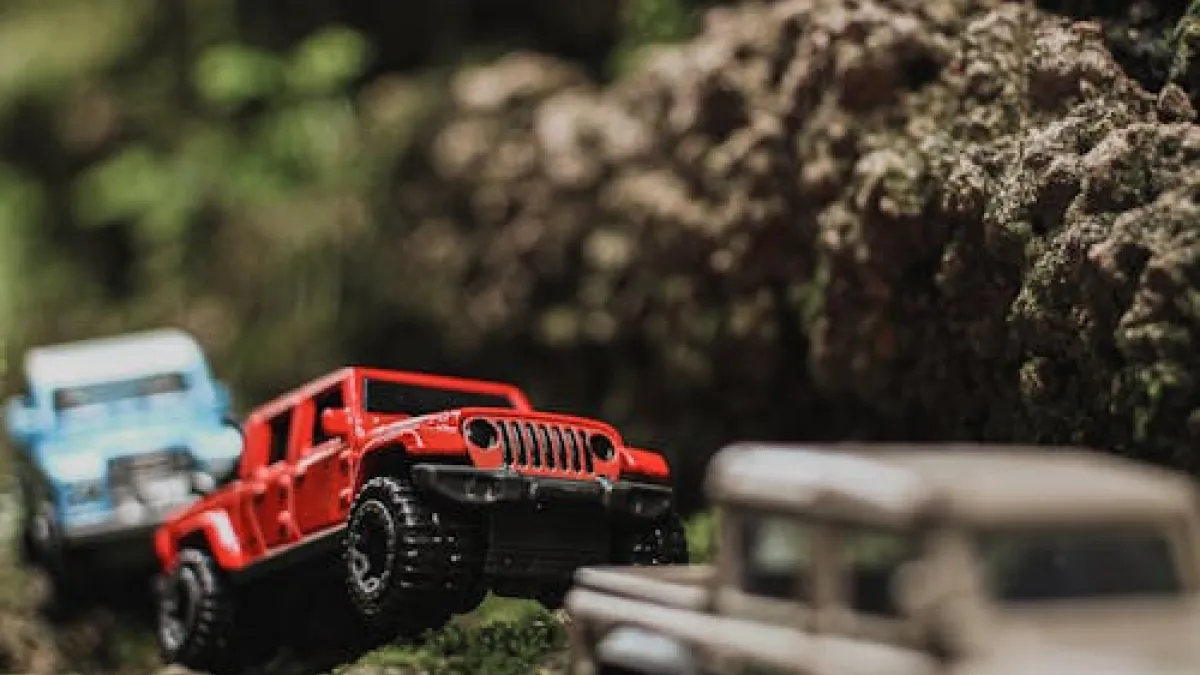 5 Reasons Vintage Sports Cards Are Still Valuable